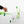 Charger l'image dans la galerie, Verre Hippocampe