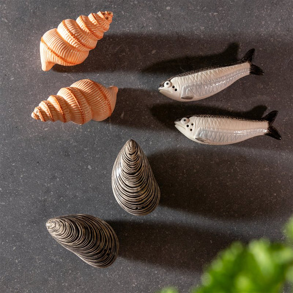 Sel & Poivre Coquillages