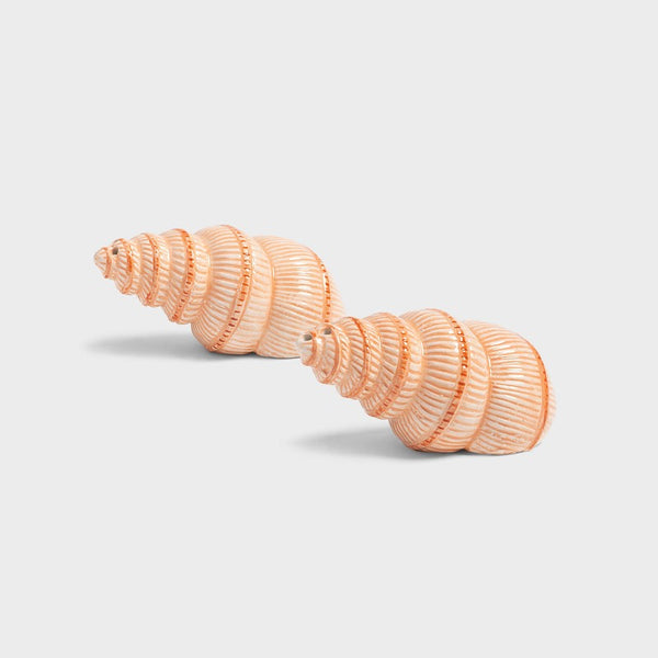Sel & Poivre Coquillages