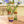 Charger l'image dans la galerie, Vase dégradé Evening 29cm
