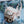 Charger l'image dans la galerie, Mug Zodiac Sagittarius / Sagittaire
