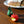 Charger l'image dans la galerie, Sel &amp; Poivre Haines apple pear
