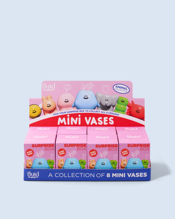 Surprise Box / Mini Vase Animaux