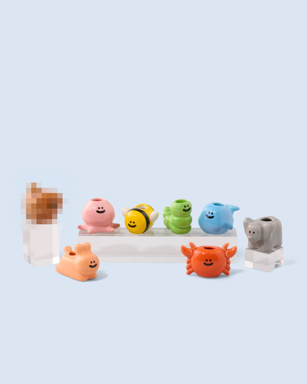 Surprise Box / Mini Vase Animaux
