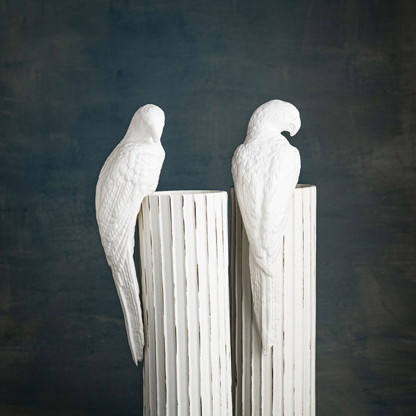 Perroquet en porcelaine
