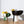 Charger l'image dans la galerie, Bol Sun noir
