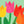 Charger l'image dans la galerie, Eventail Tulips

