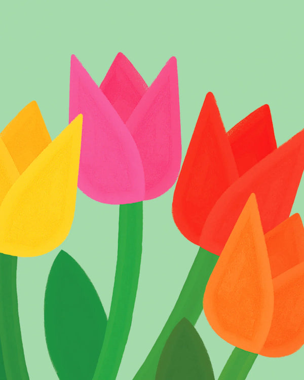 Eventail Tulips