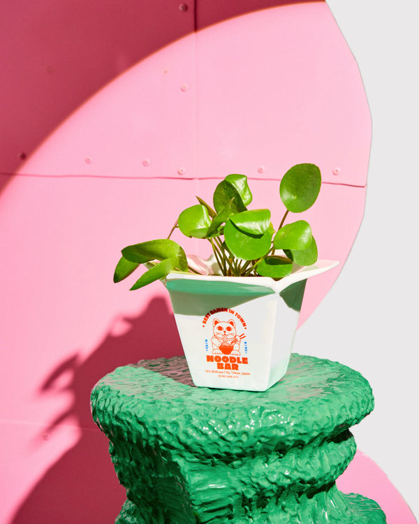 Pot Ramen