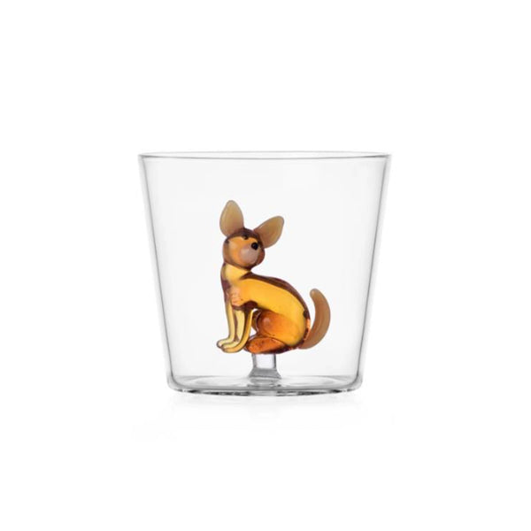 Verre Chihuahua