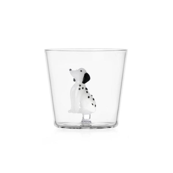 Verre Dalmatien