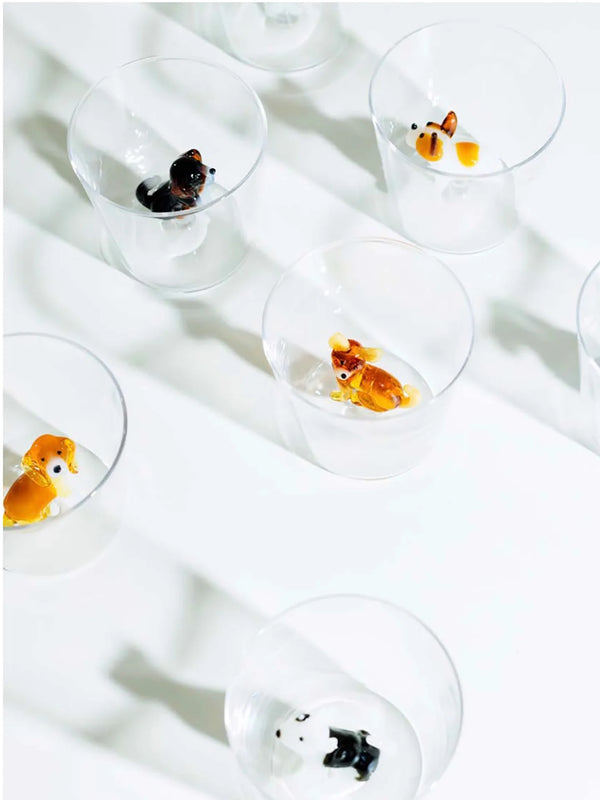Verre Dalmatien