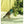 Charger l'image dans la galerie, Figurine Colibri
